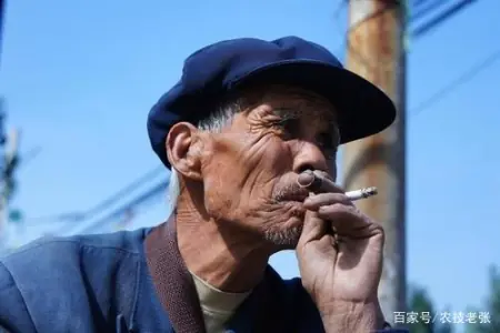 香烟或迎“涨价潮”？专家提议香烟价格“以涨助控”，农民很无奈-香烟价格涨幅趋势分析